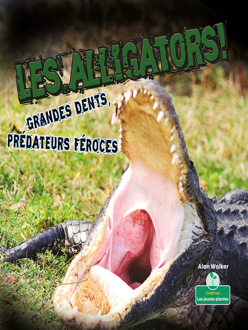 Title details for Les alligators! Grandes dents, prédateurs féroces (Alligators! Big Teeth, Fierce Hunters) by Alan Walker - Available